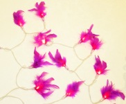 Purple Feather Fairy Lights_sml.jpg